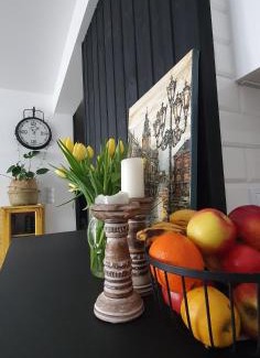 Ustrzyki Dolne Apartamento | FireSalamander Apartament z prywatną sauną - wyjątkowy i romantyczny, idealny na specjalne okazje