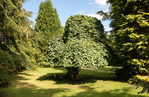 Forres Cabina | Firlands Lodge