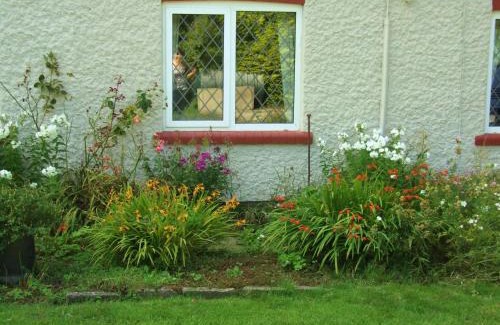 Selby Casa | firtrees