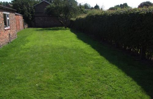 Selby Casa | firtrees