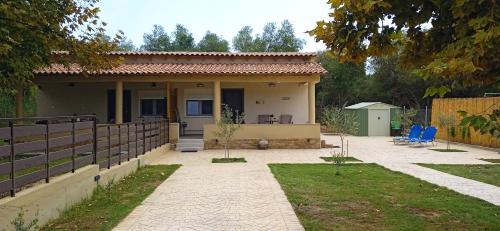 Nikita Casa | Fish eye