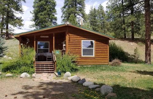 Pagosa Springs Cabina | Cedar Cabin - ¡Inclusive la tuya! Disfruta la vista.