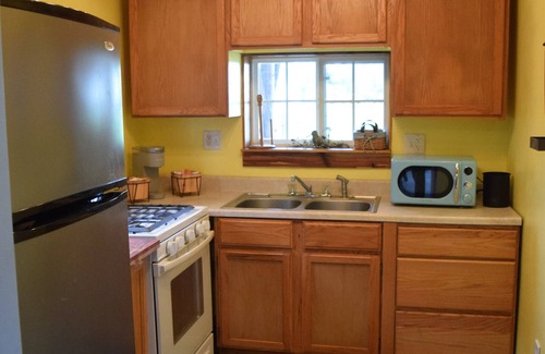Williston Cabaña | Fisherman, Birders and Family retreat! Sleeps 4 no cleaning fee, pets welcome