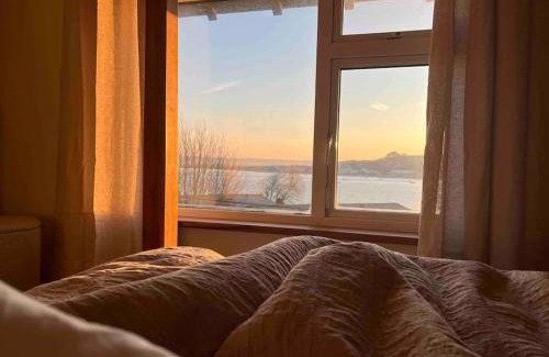 Appledore Casa | * Fisherman’s Cottage * with river views (dog friendly!)