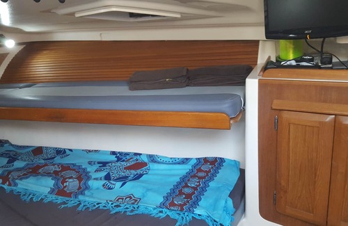 Las Galletas Alquiler De Eote | Alquiler Barco de Pesca Paseo en el Paraiso al Sur de Tenerife