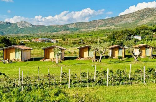 Sakës Casa | Fishta Guesthouse - Mrizi i Zanave