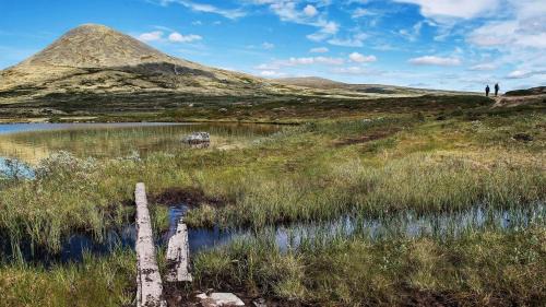 Venabygd Casa | Fiskebu at Flaksjøen