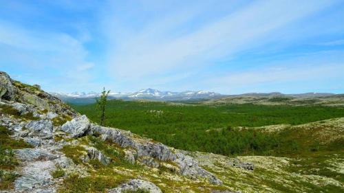 Venabygd Casa | Fiskebu at Flaksjøen