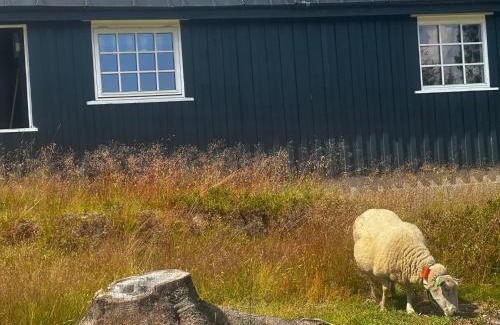 Loten Municipality Casa | Fjellkos og ro på Budor 4 roms hytte med peis og wifi