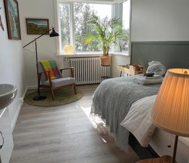 Norðurmyri Cama Y Desayuno | Flóki by Guesthouse Reykjavík