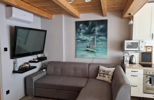 Balatonszarszo Casa | Flamingó Apartman