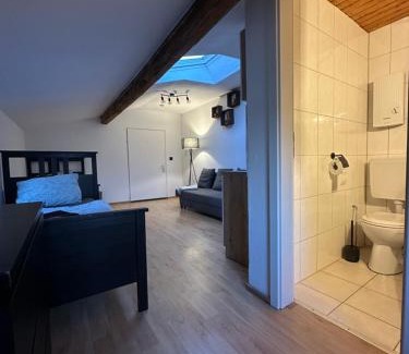 Dueren Apartamento | Flamingo 2 - zentrale Wohnung - Düren