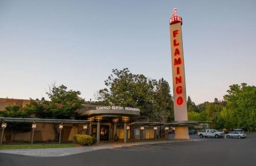Montgomery Village Complejo | Flamingo Resort & Spa Santa Rosa Sonoma, Tapestry by Hilton