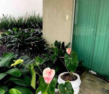 Aleixo Apartamento | Flat completo próximo ao INPA