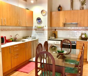 Sant Antoni Apartamento | Flat Plaza de España BCN