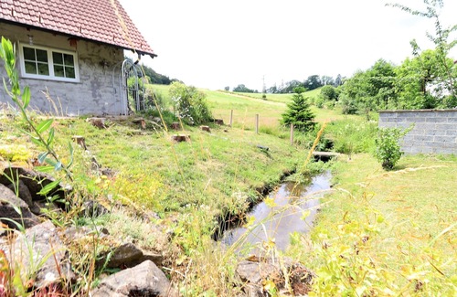 Diemelsee Casa | Flechtdorfer Waldblick - Nature. Comfort. Family paradise.