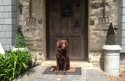 Totnes Casa | Fletchers Combe Farm
