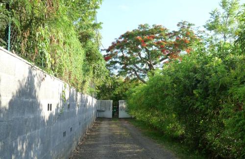 Le Portail Villa | Fleur de Canne