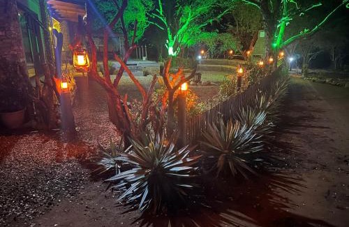 Marloth Park Casa | Flight of the Eagle @ Kruger