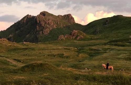 Valberg Otro | FLO Lofoten nature escape