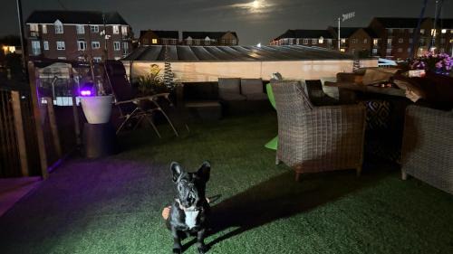 Liverpool Alquiler De Eote | Float uniquely on Liverpool Waterfront on our high end 8 berth Houseboat