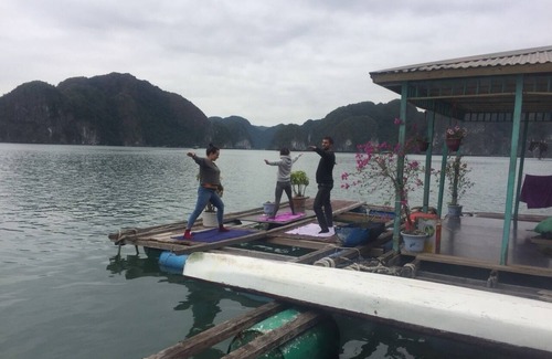 Cat Hai Cama Y Desayuno | Casa flotante, kayak gratis, saco seco y excelente experiencia de pesca.