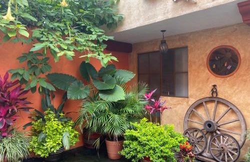 San Miguel Hotel | Flor de Cera