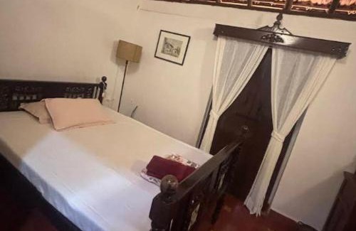 Arambol Hotel | Flora& Fauna
