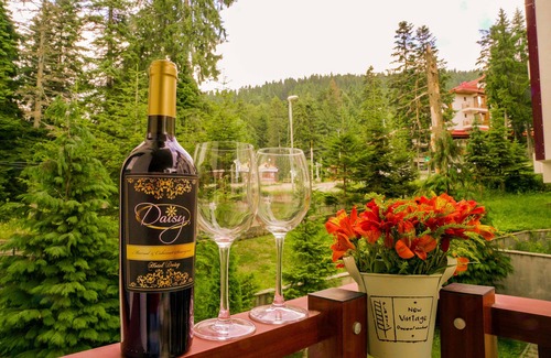 Borovets Apartamento | Flora Residence Daisy