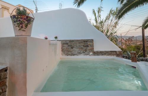 Agkidia Casa | Flora's Villa with Plunge Pool