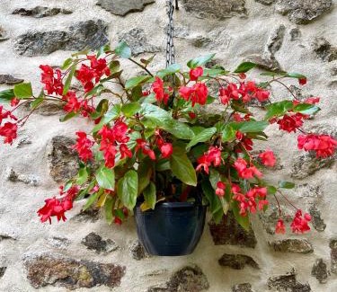 Bussiere-Badil Casa | Flore at Vive le Vert