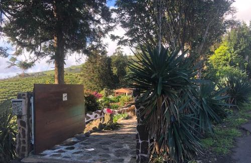 Santa Cruz das Flores Casa | Flores Garden Retreat
