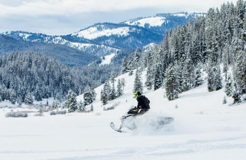 Alpine Cabina | Flying Saddle Resort and Steak House