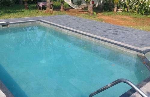 Alappuzha Cama Y Desayuno | Fool's Paradise B & B Alleppey