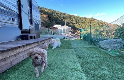 Futo Cabina | For 3 people Dogs welcome Dome tent 6mE traile / Ito Shizuoka