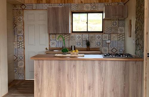 Constitucion Casa | Forel