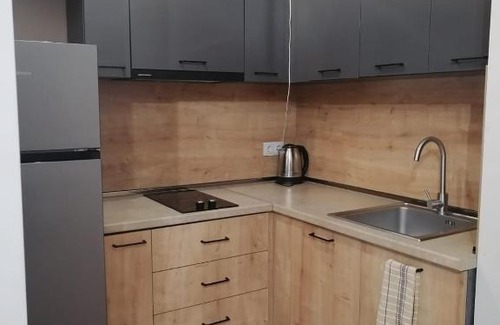 Tsaghkadzor Apartamento | forest apart kechi house