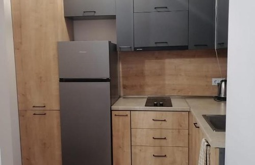 Tsaghkadzor Apartamento | forest apart kechi house