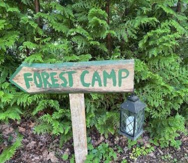 Saaremaa Otro | Forest Camping