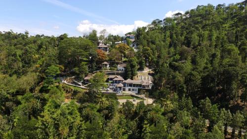 Pirmed Complejo | Forest Canopy Thekkady