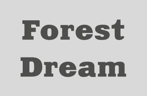 Polyana Apartamento | Forest Dreаm by Шляпа
