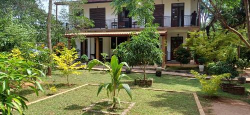 Anuradhapura Hotel | Forest edge villa