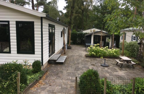 Beekbergen-West Chalet De Esquí | Forest Family 6 persoons op 5 sterren park