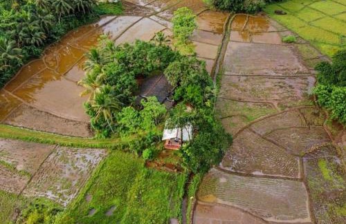 Kotapola Casa | Forest & Fields Sinharaja