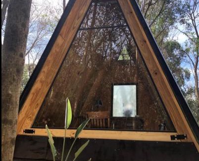 Gowland Otro | Forest Glam