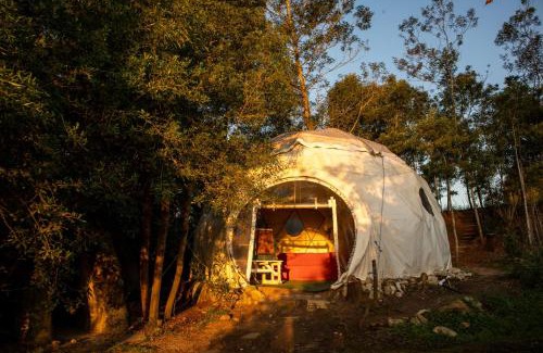 Knysna Casa | Forest Harmony