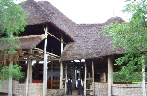 Kasese Cabina | Forest Hog Safari Lodge