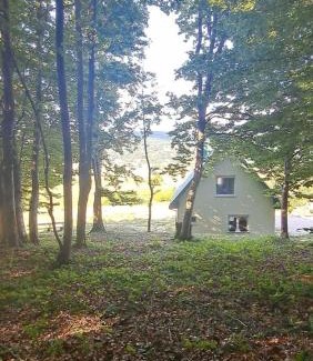 Donja Brezna Casa | Forest Panorama Cabin Brezna