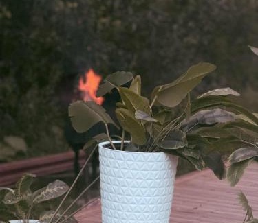 Kaunas County Casa | Forest Resort House