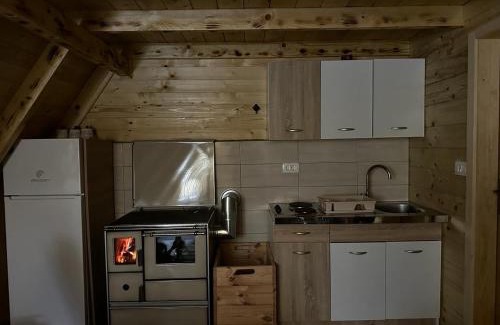 Pluzine Chalet De Esquí | Forest rest